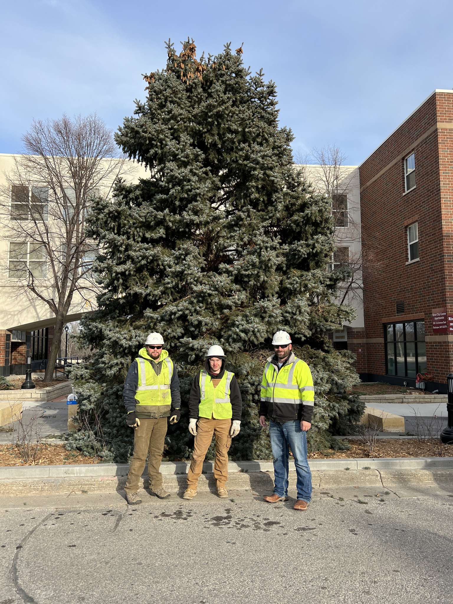 greystone-crew-helped-install-tree-downtown-shakopee