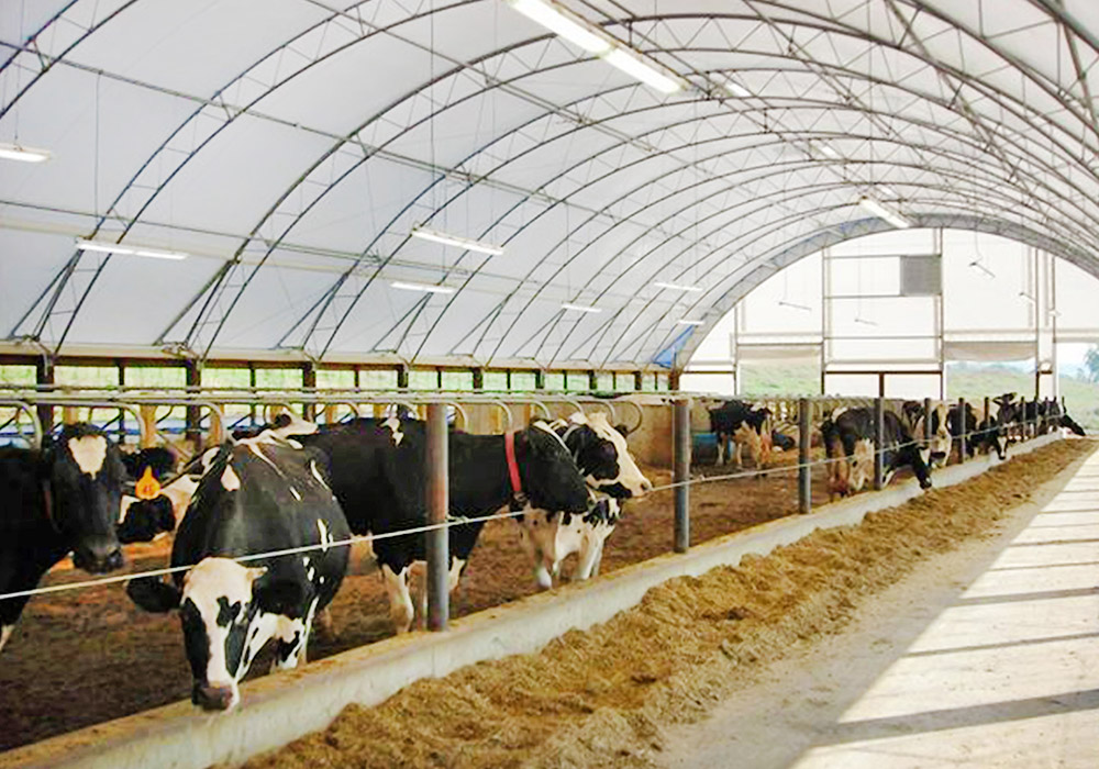 hoop barns minnesota